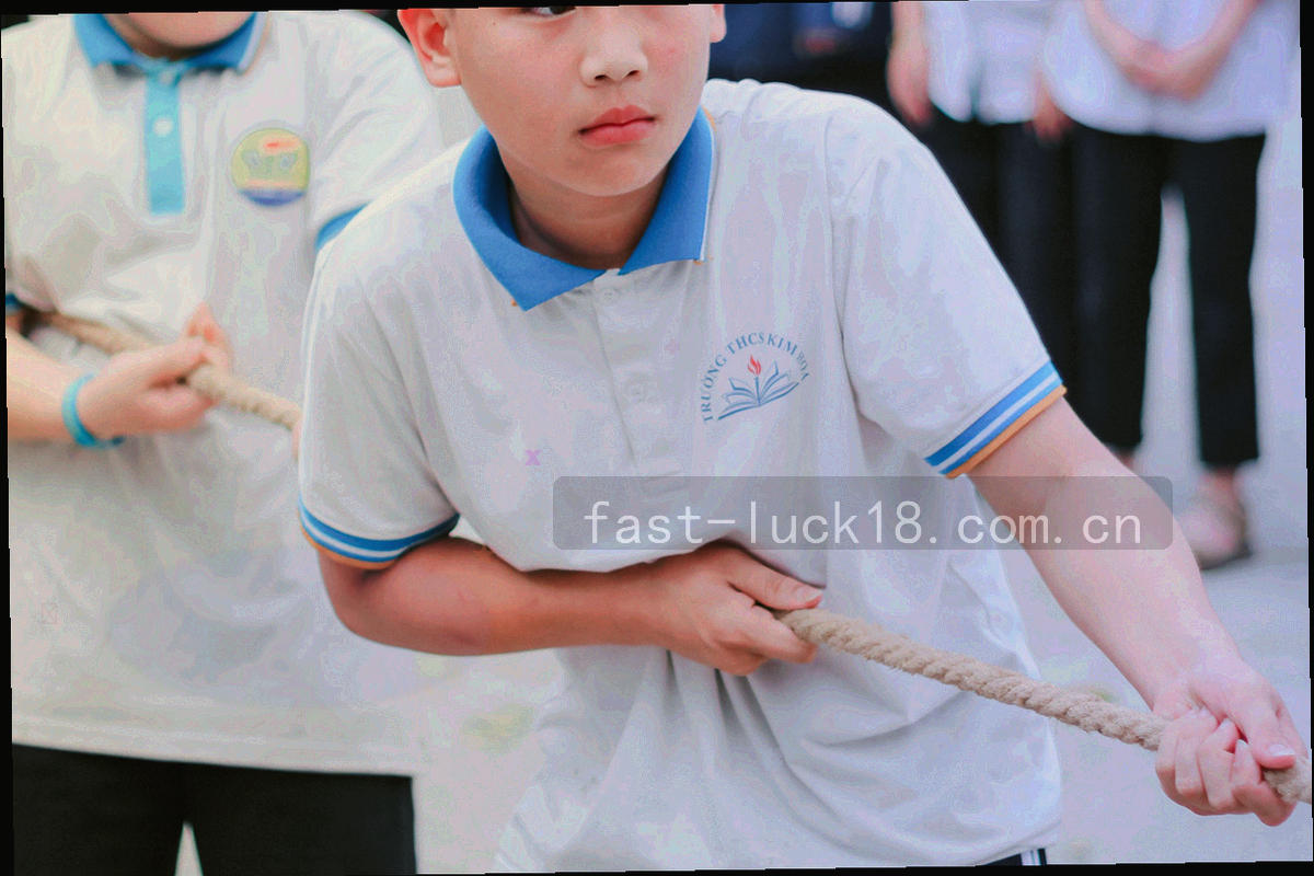 整齐排列的场馆档案卡片与场馆平面示意叠放